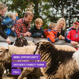 Snyder's Family Farm
