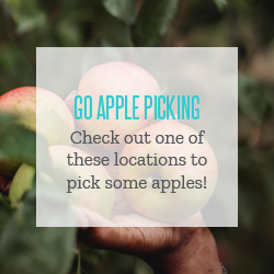 apple_picking-01